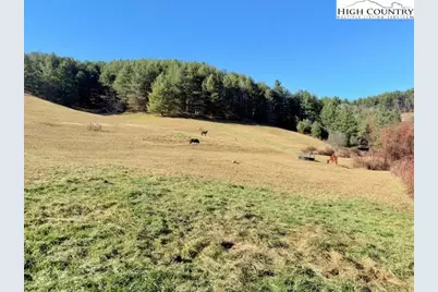 Tbd (14.53 +/- Acres) Hartzog Ford Road, West Jefferson, NC 28694 - Photo 1