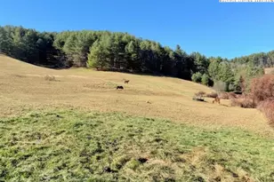 Tbd (14 53 +/- Acres) Hartzog Ford Rd, West Jefferson, NC 28694 - Photo 1