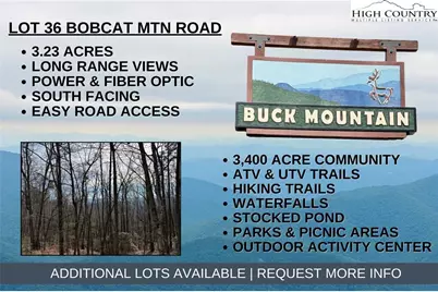Lot 36 Bobcat Mountain Road, Purlear, NC 28665 - Photo 1