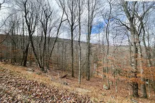 121 Shagbark Rd, Banner Elk, NC 28604 - Photo 1