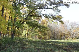 Tbd McNeill Rd, Lansing, NC 28617 - Photo 1