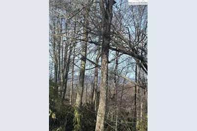 226 Greenbriar Road, Beech Mountain, NC 28604 - Photo 1