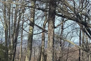 226 Greenbriar Rd, Beech Mountain, NC 28604 - Photo 1