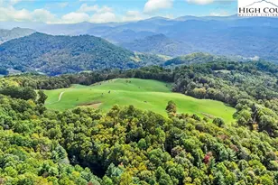 423 Beaver Dam Farm Rd, Vilas, NC 28692 - Photo 1