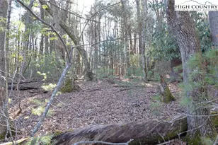 Tbd Greenhouse Rd, Roaring Gap, NC 28668 - Photo 1
