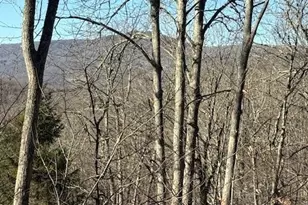 Lot 42 Cross Park Dr, Sugar Mountain, NC 28604 - Photo 1