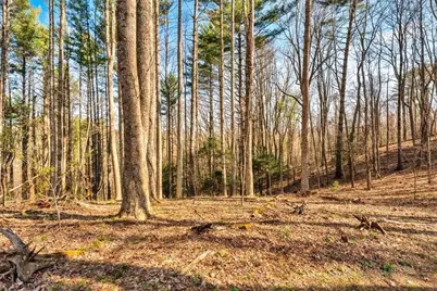 Tbd Private Drive, Sugar Grove, NC 28679 - Photo 1