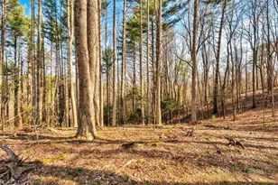 Tbd Private Dr, Sugar Grove, NC 28679 - Photo 1