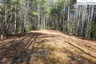Lot 23 Narrow Gauge Dr, Lenoir, NC 28645 - Photo 1