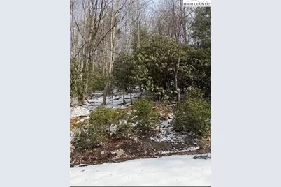 301 Jackpine Road, Beech Mountain, NC 28604 - Photo 1