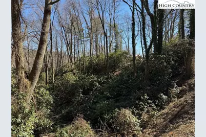 Tbd Wonderland Trail, Blowing Rock, NC 28605 - Photo 1