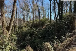 Tbd Wonderland Trail, Blowing Rock, NC 28605 - Photo 1