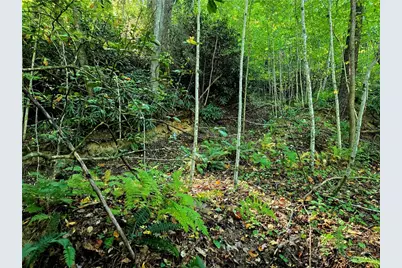 Lot 7 N. Old Nc Hwy 16, Millers Creek, NC 28651 - Photo 1