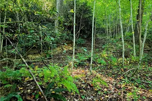 Lot 7 N Old Nc Hwy 16, Millers Creek, NC 28651 - Photo 1