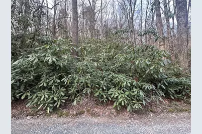 0 Rocky Creek Road, Boone, NC 28607 - Photo 1