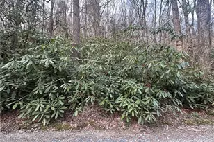 0 Rocky Creek Rd, Boone, NC 28607 - Photo 1