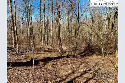 38 Sugar Tree, Sugar Mountain, NC 28604 - Photo 1