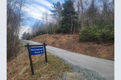 100 Deergrass Road, Beech Mountain, NC 28604 - Photo 1