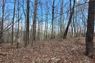 123/126 W Blueberry Ln, Beech Mountain, NC 28604 - Photo 1