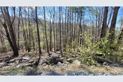 236 Wild Daisy Lane, Beech Mountain, NC 28604 - Photo 1