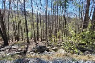 236 Wild Daisy Ln, Beech Mountain, NC 28604 - Photo 1