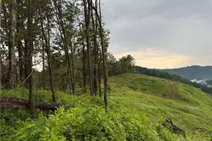 Lot 1 S Big Horse Creek Rd, Lansing, NC 28643 - Photo 1