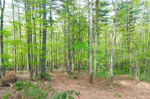Lot 15 Walden Ln, West Jefferson, NC 28694 - Photo 1
