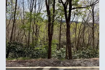 308 Overbrook Trail, Beech Mountain, NC 28604 - Photo 1