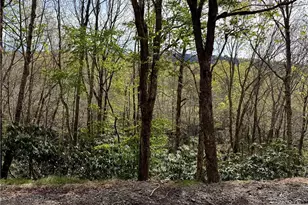 308 Overbrook Trail, Beech Mountain, NC 28604 - Photo 1