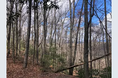 Lot 21 Bobcat Mountain Road, Purlear, NC 28665 - Photo 1