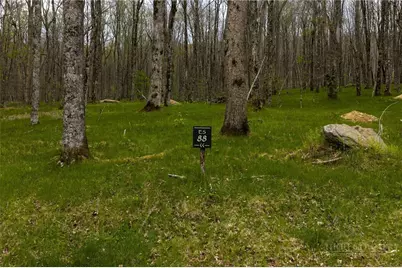 Es-88 Lands End Trail, Beech Mountain, NC 28604 - Photo 1