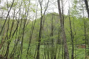 Tbd Flatwoods School Rd, Creston, NC 28615 - Photo 1