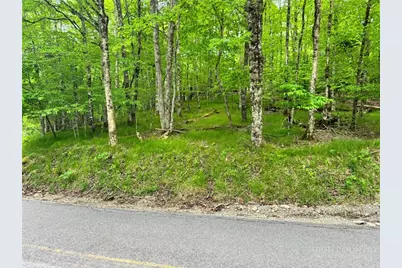 146 Hornbeam Road, Beech Mountain, NC 28604 - Photo 1