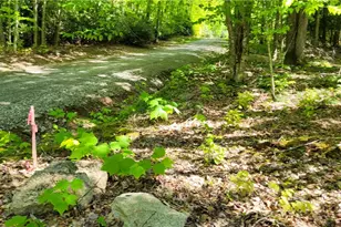 Tbd Buckeye Ridge Rd, Beech Mountain, NC 28604 - Photo 1