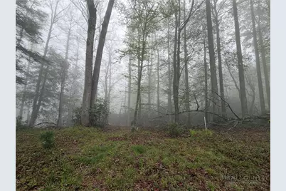 Lot 115R Autumn Blaze Trail, Blowing Rock, NC 28605 - Photo 1