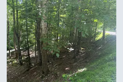 200 Wild Daisy Road, Beech Mountain, NC 28604 - Photo 1