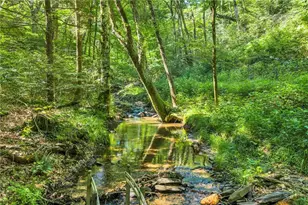 Tbd Junaluska, Boone, NC 28607 - Photo 1