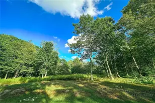 Lot 75 Eagles Nest Trail, Banner Elk, NC 28604 - Photo 1