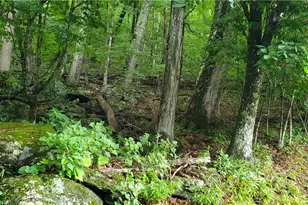 Tbd Thorncliff Dr, Seven Devils, NC 28601 - Photo 1