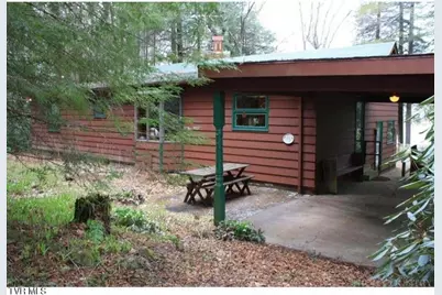 262 Ripshin Lake Road, Roan Mountain, TN 37687 - Photo 1