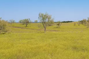 Tract 1 Cr 207, Burnet, TX 78611 - Photo 5