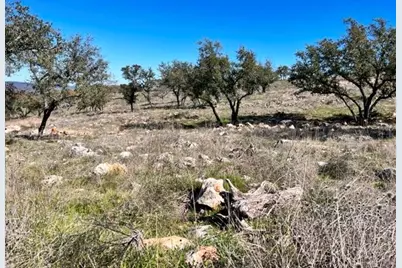 Lot 202 Tbd Westridge Way, Big Creek Ranch, Kingsland, TX 78639 - Photo 7