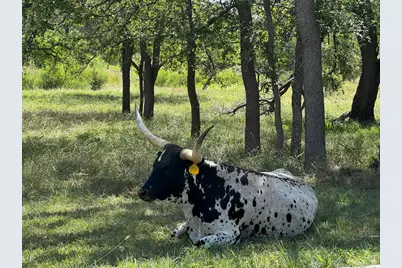 281 Chimney Cove Drive, Marble Falls, TX 78654 - Photo 13