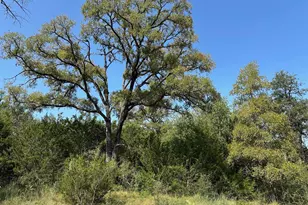 00 Winding River Rd, Kempner, TX 76539 - Photo 5