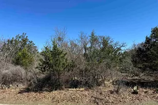 Lot 218 Western Dr, Kingsland, TX 78639 - Photo 1