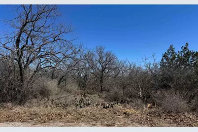 Lot 218 Western Drive, Kingsland, TX 78639 - Photo 5