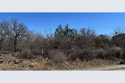 Lot 219 Western Drive, Kingsland, TX 78639 - Photo 3