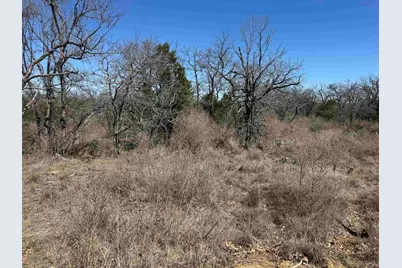 Lot 179 Longmont Drive, Kingsland, TX 78639 - Photo 7