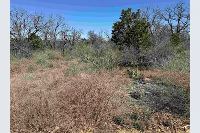Lot 180 Longmont Drive, Kingsland, TX 78639 - Photo 5