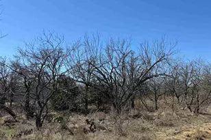 Lot 102 Ridgemont Dr, Kingsland, TX 78639 - Photo 1